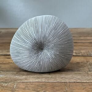 Wrought Studio Baudilia Sand Dollar Table Vase